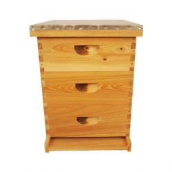 Complete Bee Hives